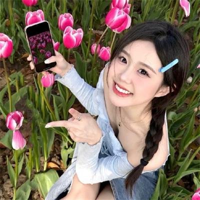 龟女士的奥德赛